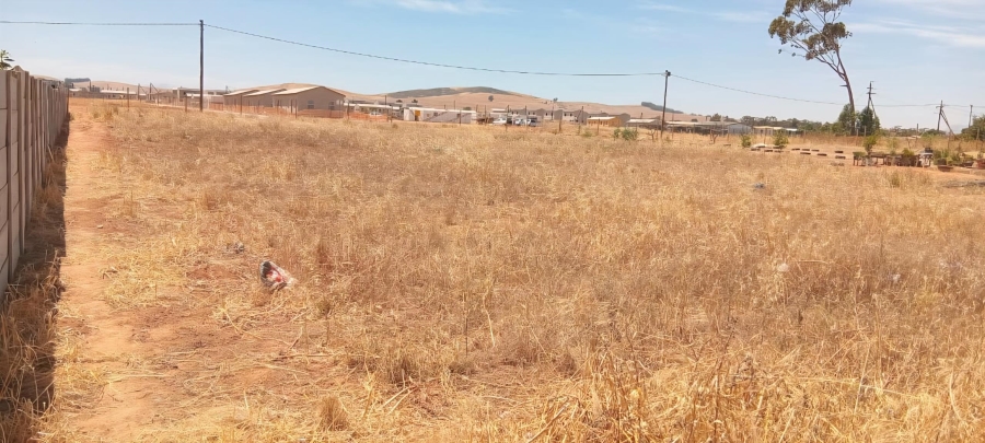 0 Bedroom Property for Sale in Moorreesburg Western Cape